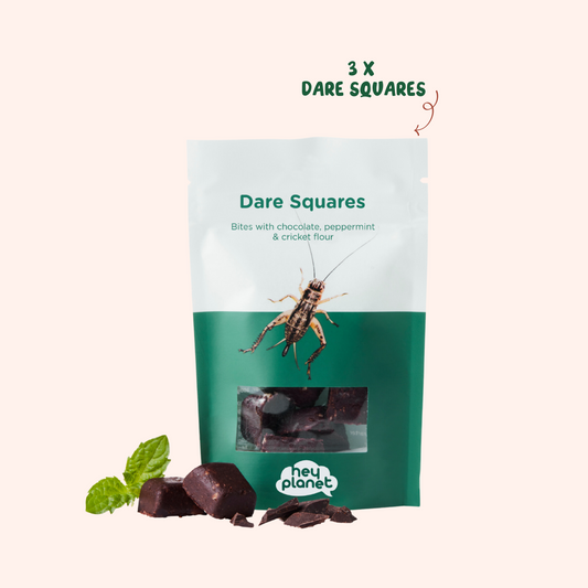 Dare Squares Family Pack